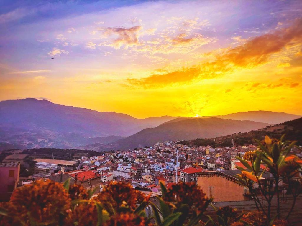 Orgosolo B&B Sardegna Ngoại thất bức ảnh