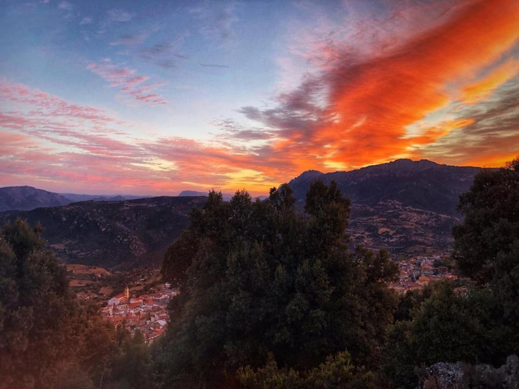 Orgosolo B&B Sardegna Ngoại thất bức ảnh