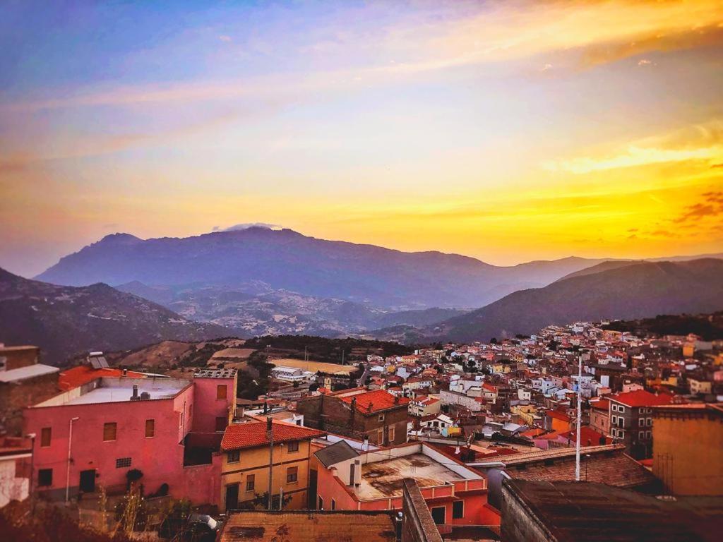 Orgosolo B&B Sardegna Ngoại thất bức ảnh