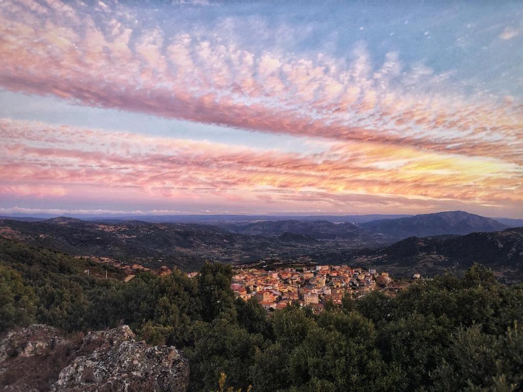 Orgosolo B&B Sardegna Ngoại thất bức ảnh